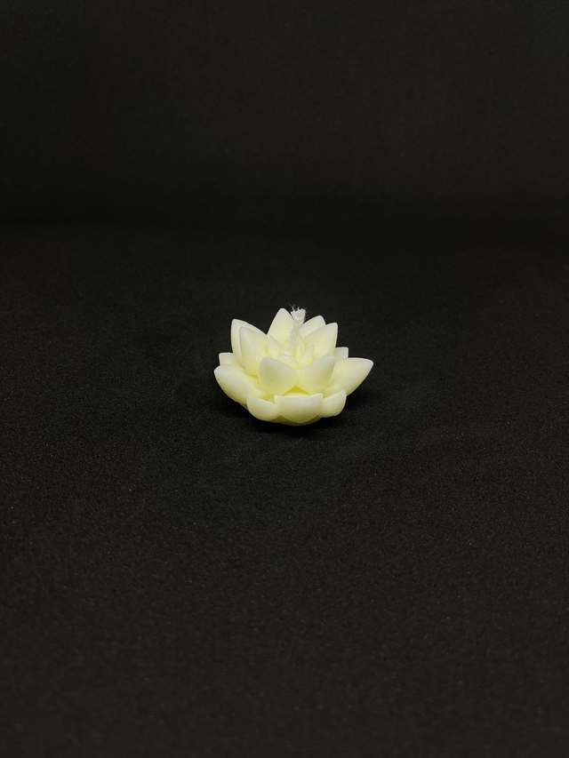 Mini Lotus