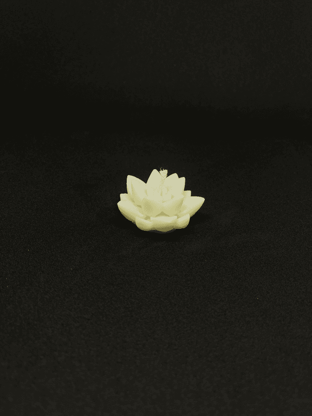Mini Lotus